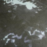 http://0toktfevo31lkc6o.lightizm.com/files/gimgs/th-76_71_Nostalgia1_v2.jpg